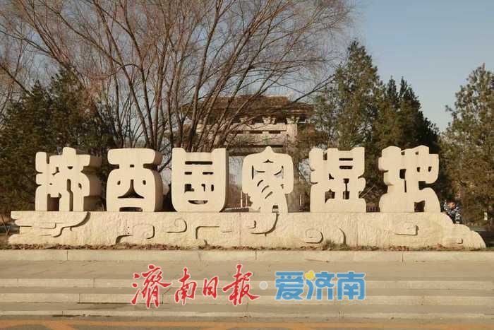 风过苇梢,湖映冬阳 济西湿地的冬日限定美好