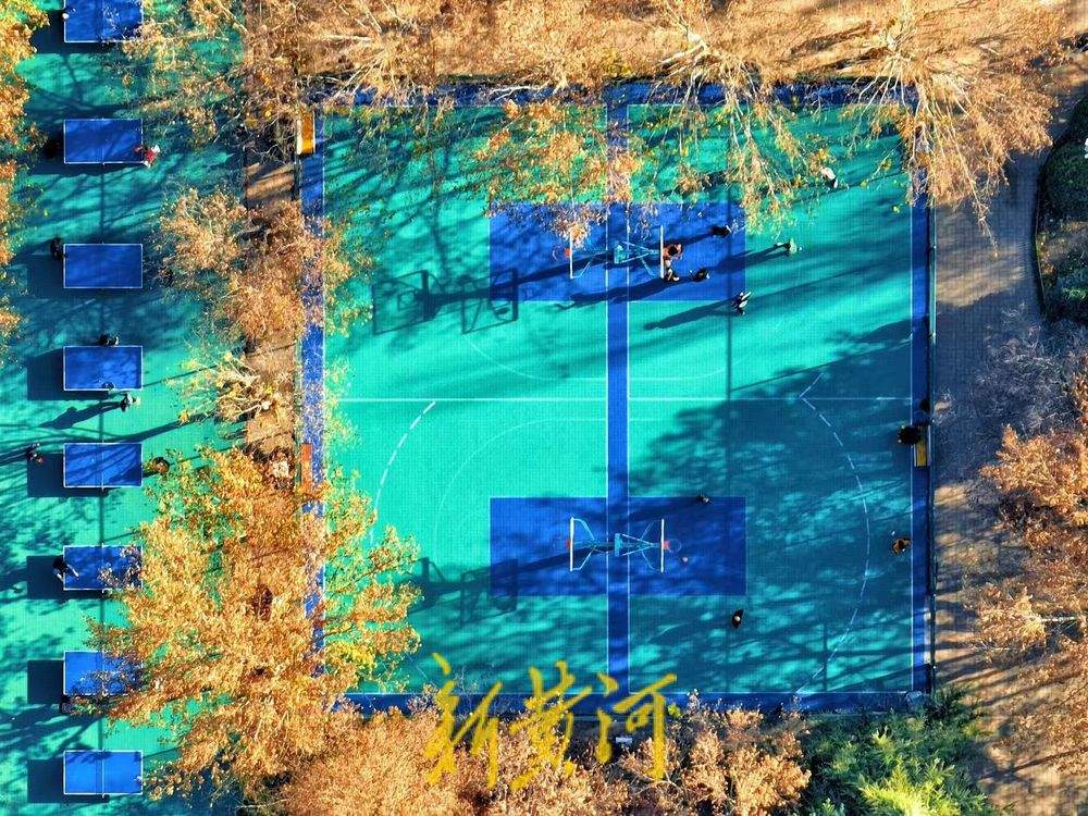 一年四季 泉在济南丨色彩斑斓 济南这个健身广场融进森林氧吧