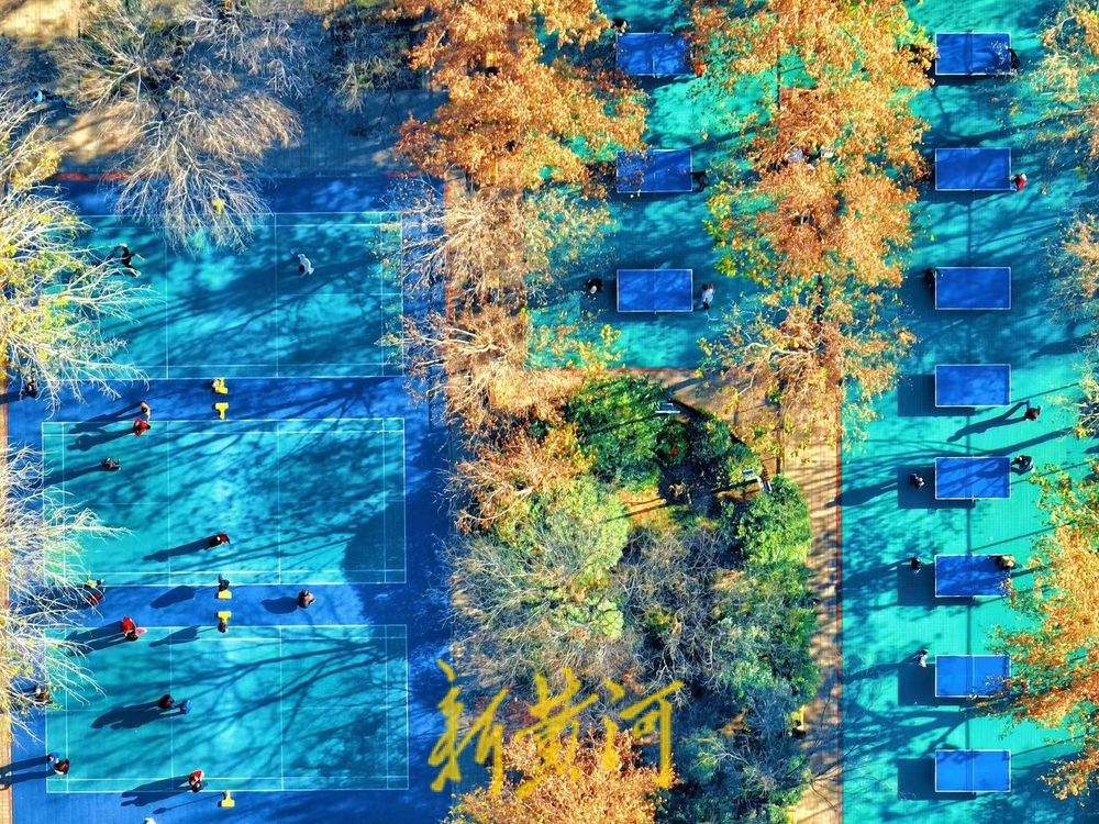 一年四季 泉在济南丨色彩斑斓 济南这个健身广场融进森林氧吧