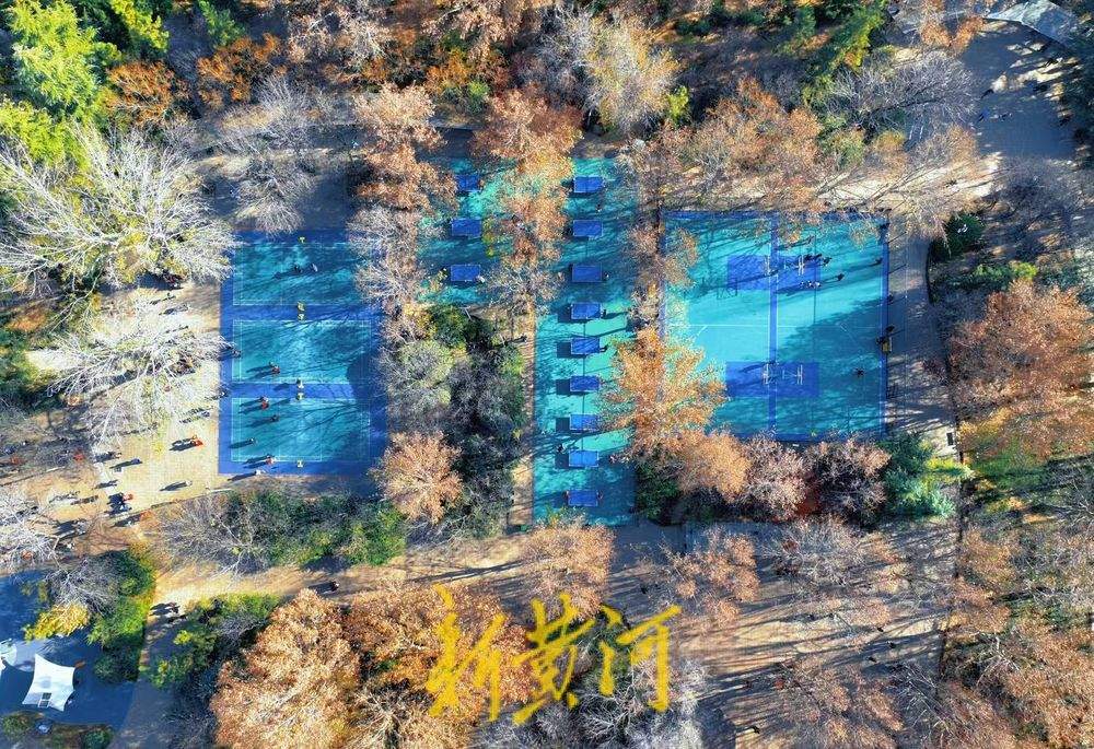 一年四季 泉在济南丨色彩斑斓 济南这个健身广场融进森林氧吧