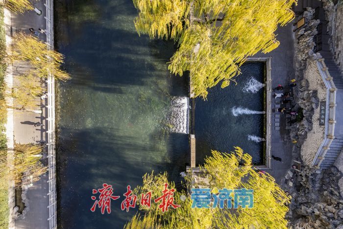 一年四季 泉在济南丨护城河畔诗意浓