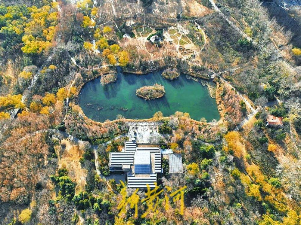 一年四季 泉在济南丨冬日“秋景” 济南森林公园彩叶斑斓宛若巨幅油画