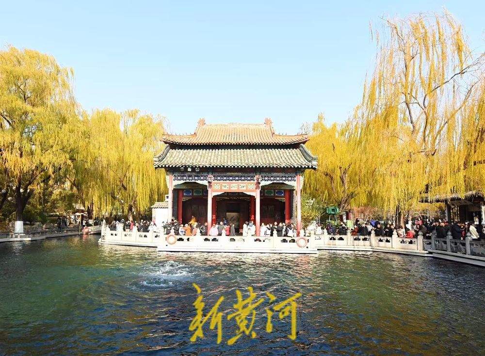 泉城仲冬暖如春 “趵突腾空”映金柳