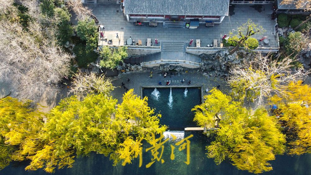垂柳依依色彩斑斓，济南冬日护城河畔诗意浓