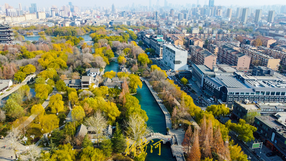 一年四季 泉在济南丨泉畔开启冬日黄金季 百棵垂柳镶金边