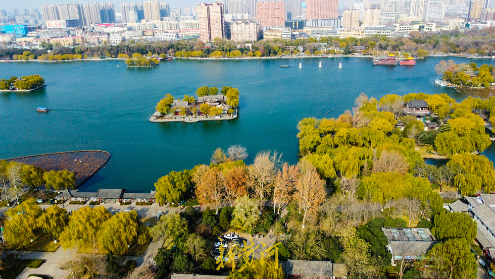 一年四季 泉在济南丨泉畔开启冬日黄金季 百棵垂柳镶金边