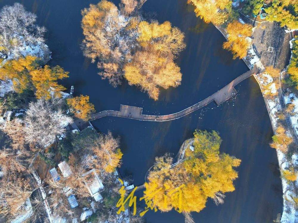 雪后济南动物园 斑斓多姿添色彩