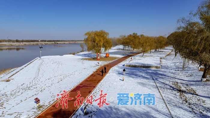 雪润黄河岸,济南冬日生态画卷徐徐铺展