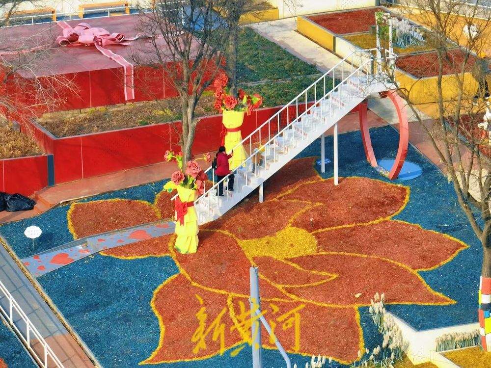 济南“七色花田”隆冬时节缤纷绽放