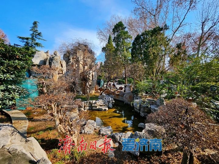 济南中山公园冬韵悠悠