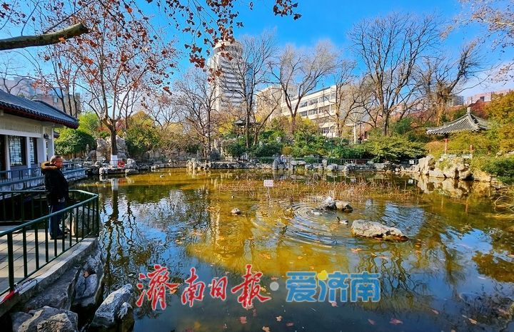 济南中山公园冬韵悠悠