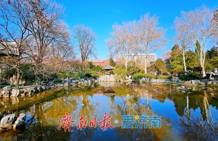 济南中山公园冬韵悠悠