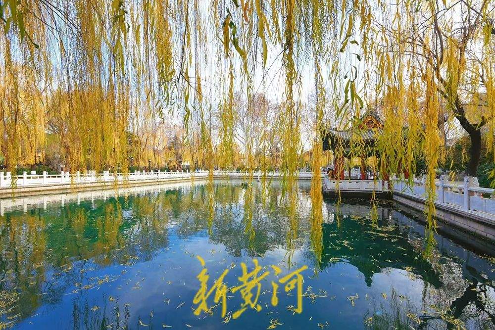 一年四季 泉在济南｜杨柳轻垂、锦鲤欢游 冬日珍珠泉美如画卷