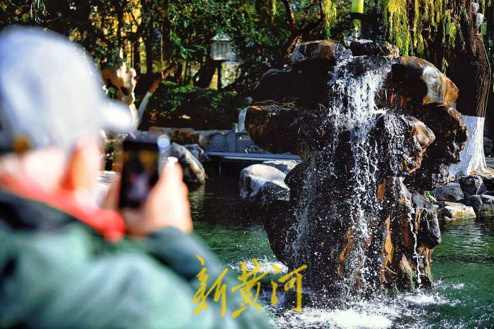 冬至：济南泉水醉游人