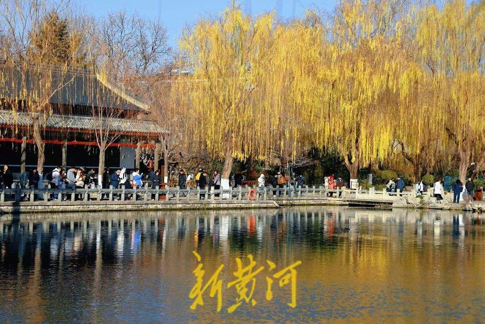 冬至：济南泉水醉游人