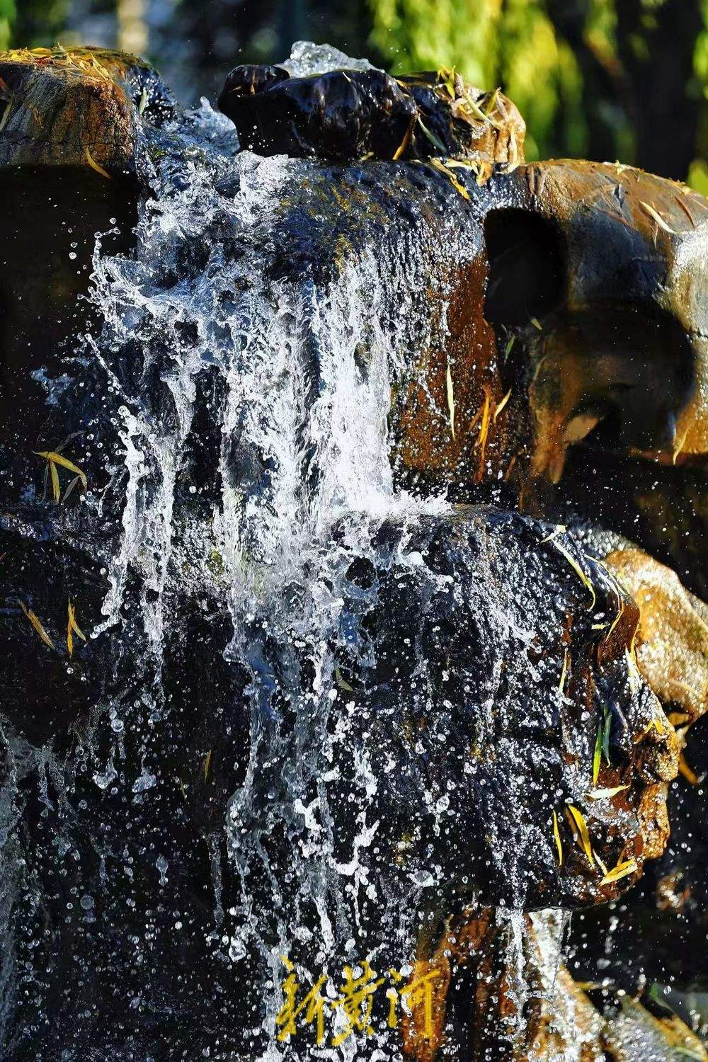 冬至：济南泉水醉游人