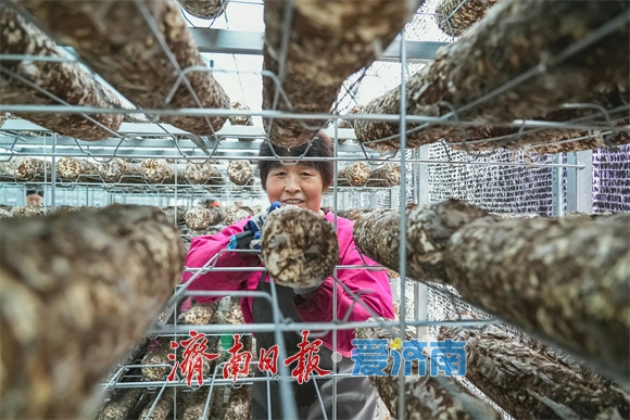 济南：乡兴潮涌 泉城沃野万象新