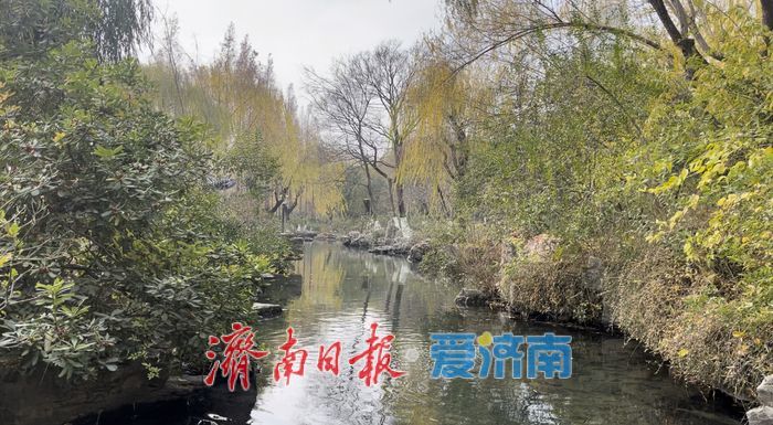 一年四季 泉在济南丨初冬五龙潭：生机盎然绘就别样冬日画卷