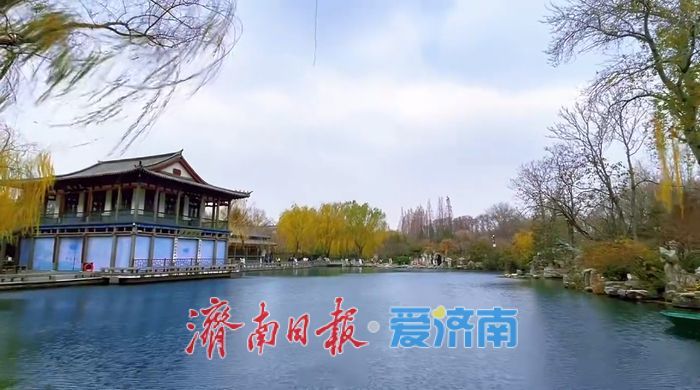 一年四季 泉在济南丨初冬五龙潭：生机盎然绘就别样冬日画卷