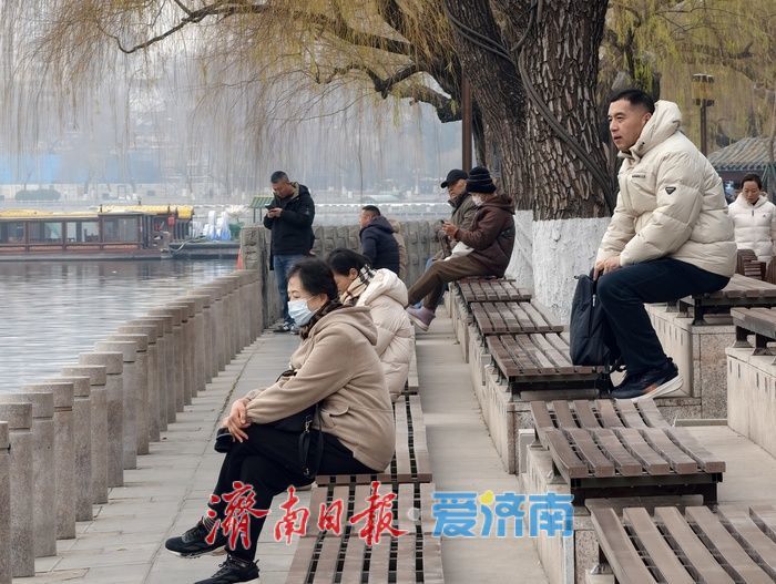 一年四季 泉在济南丨白骨顶鸡“组团”栖息越冬，见证泉城生态之美