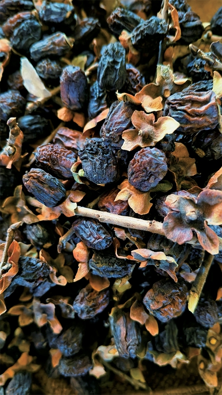 网友登山时偶遇赶回家看望年迈母亲的老人，一把软枣的温暖引来17万点赞  