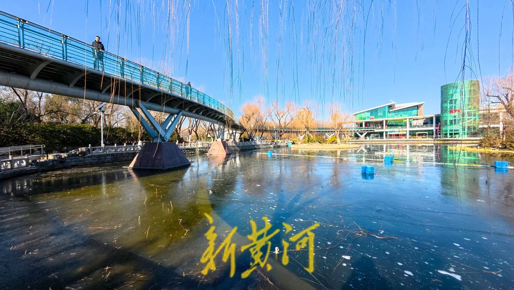 三九寒潮来袭，济南映日湖湖面封冻如翡翠