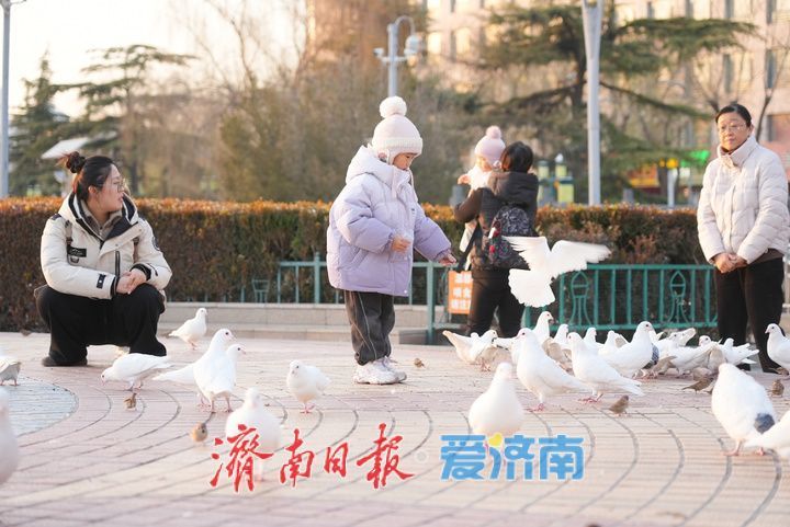 寒潮退去 泉城济南迎晴暖 最高温达11℃