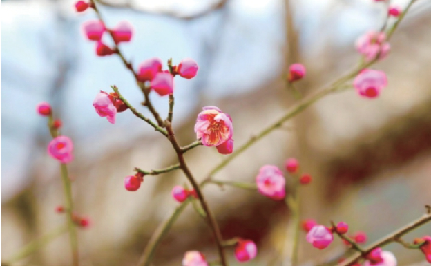 冬季游泉城:一半是冰雪,一半是泉水