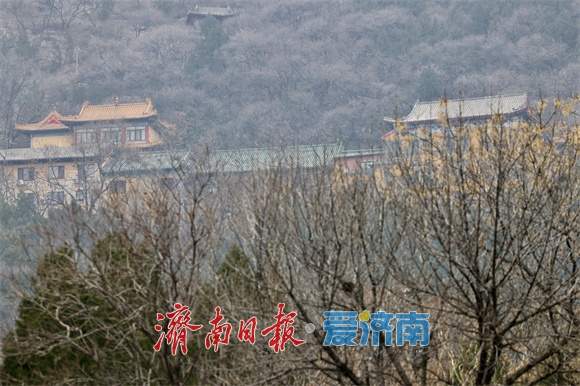 冬日千佛山：山寺凉亭入画来