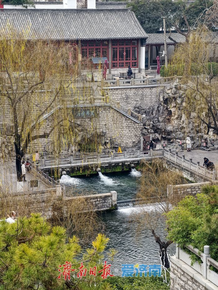 冬游济南，听泉赏河享诗意
