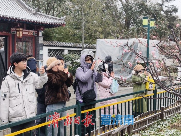 一年四季 泉在济南丨趵突泉畔，踏雪寻“梅”