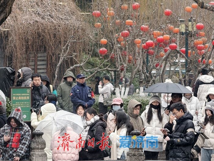 一年四季 泉在济南丨趵突泉畔花灯初绽，泉城年味渐浓