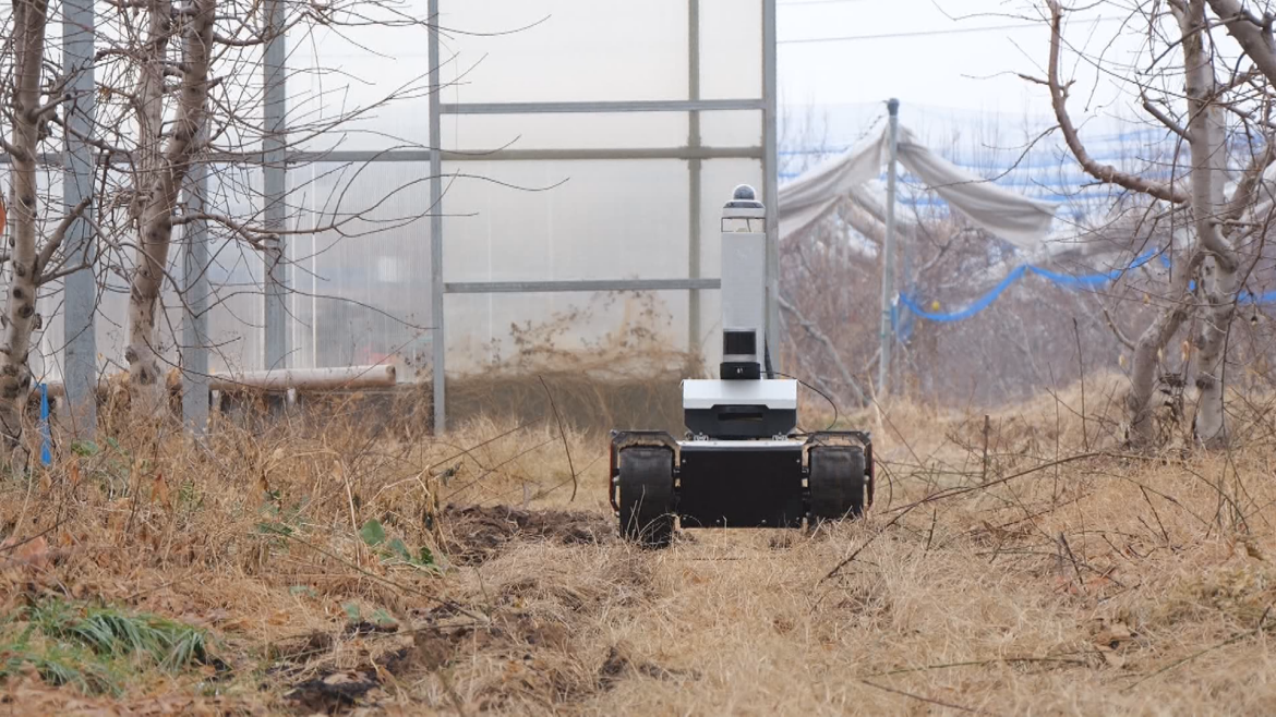 山東肥城：科技賦能冬季農(nóng)業(yè)管護(hù)