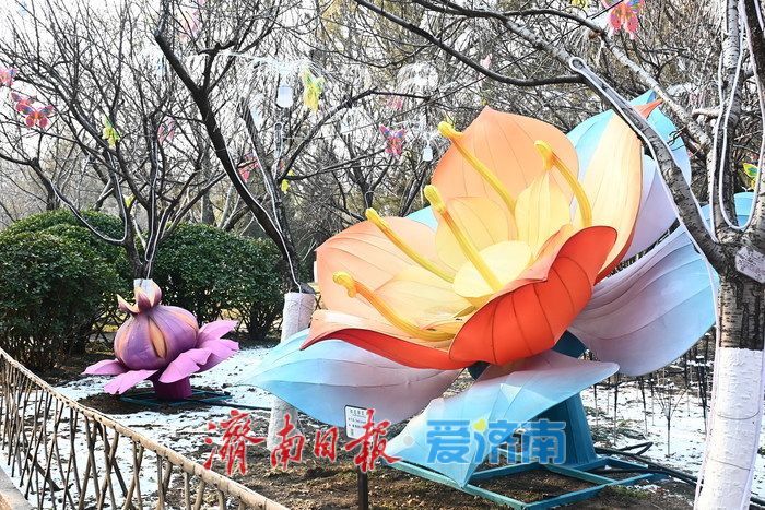 一年四季 泉在济南丨古潭映新韵，灯影照千年 五龙潭灯展演绎新春清幽秘境