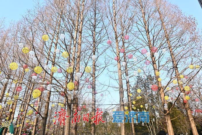 一年四季 泉在济南丨古潭映新韵，灯影照千年 五龙潭灯展演绎新春清幽秘境