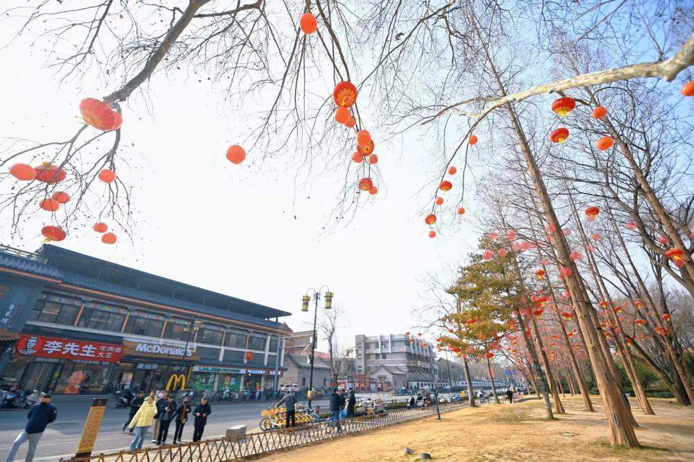大红灯笼高高挂，济南大明湖畔春节氛围拉满