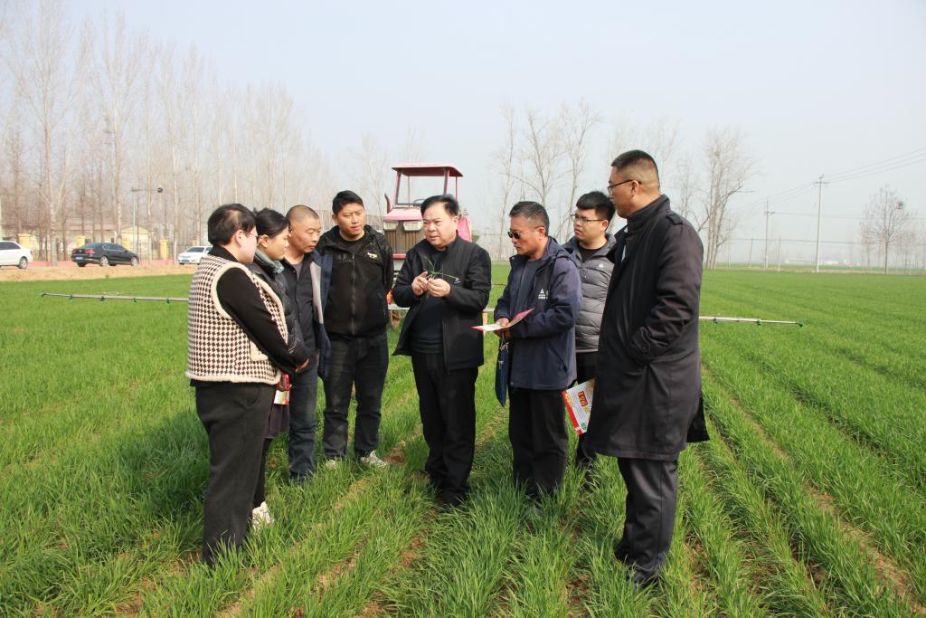 春耕新鲜事｜山东:&ldquo;田间课堂&rdquo;话春管 