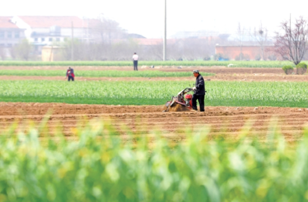 济南抢抓春日农时 乡间沃野春耕忙