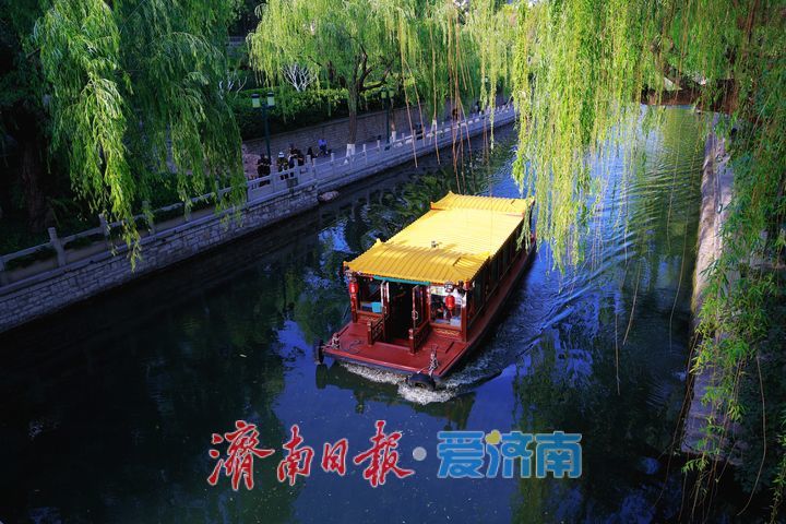 水清岸绿景如画 初夏护城河绘就生态画卷