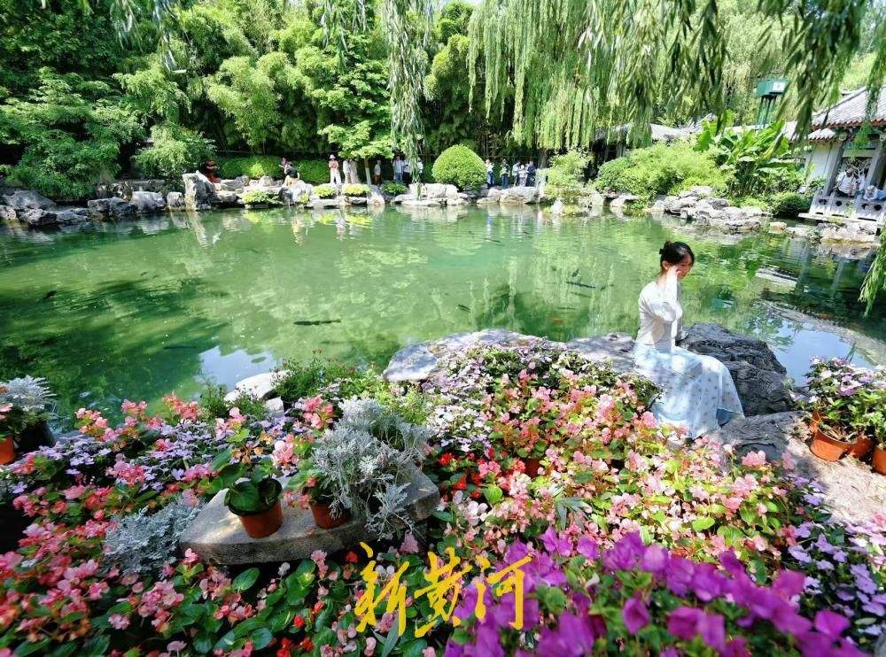 鲜花映清泉，无忧泉尽显泉城初夏风情