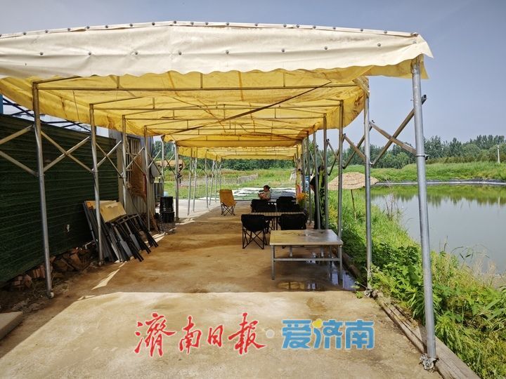 初夏桑葚甜 亲子采摘热 