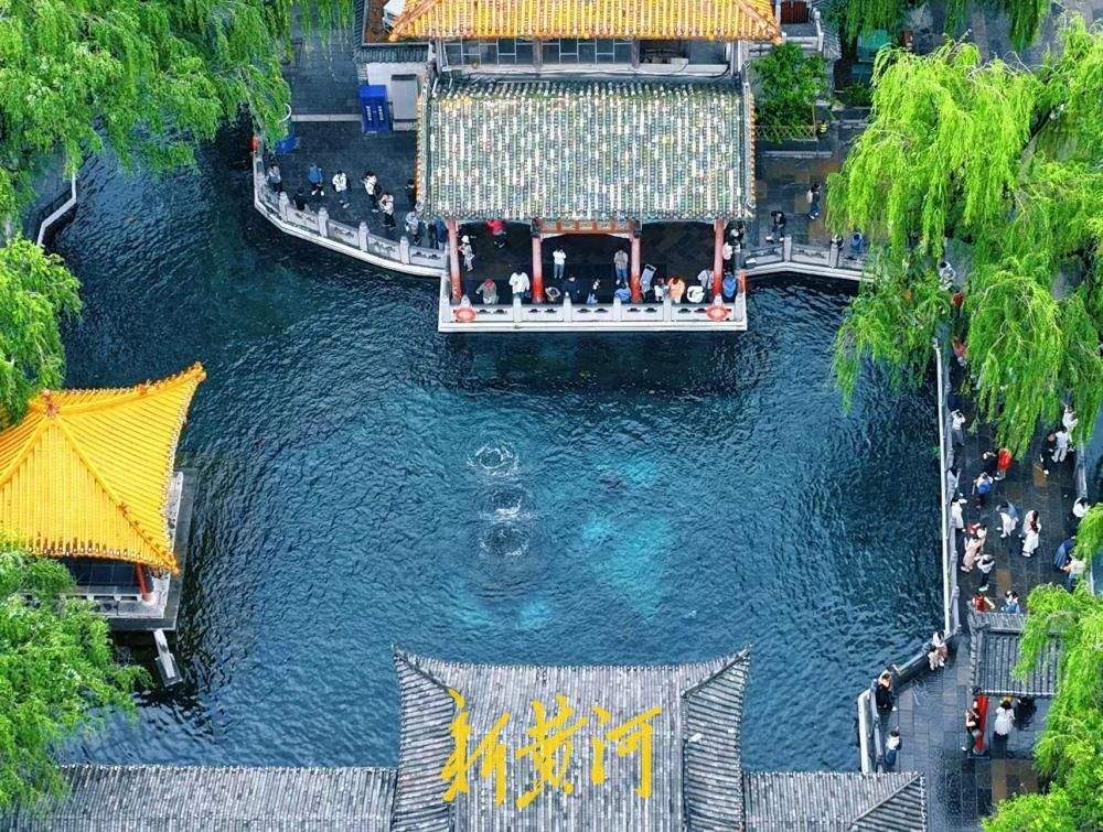 大雨润泉脉,济南泉水再迎盛景