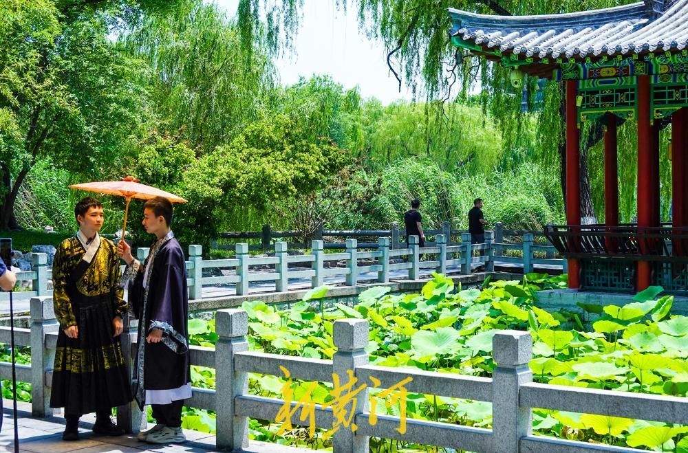一年四季 泉在济南丨荷香消夏暑，大明湖荷花盛放成避暑热门地标