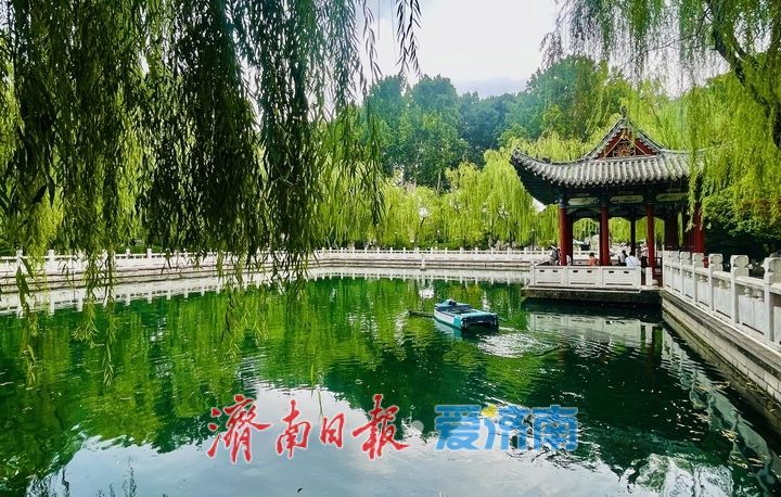 夏日珍珠泉 满池清凉意