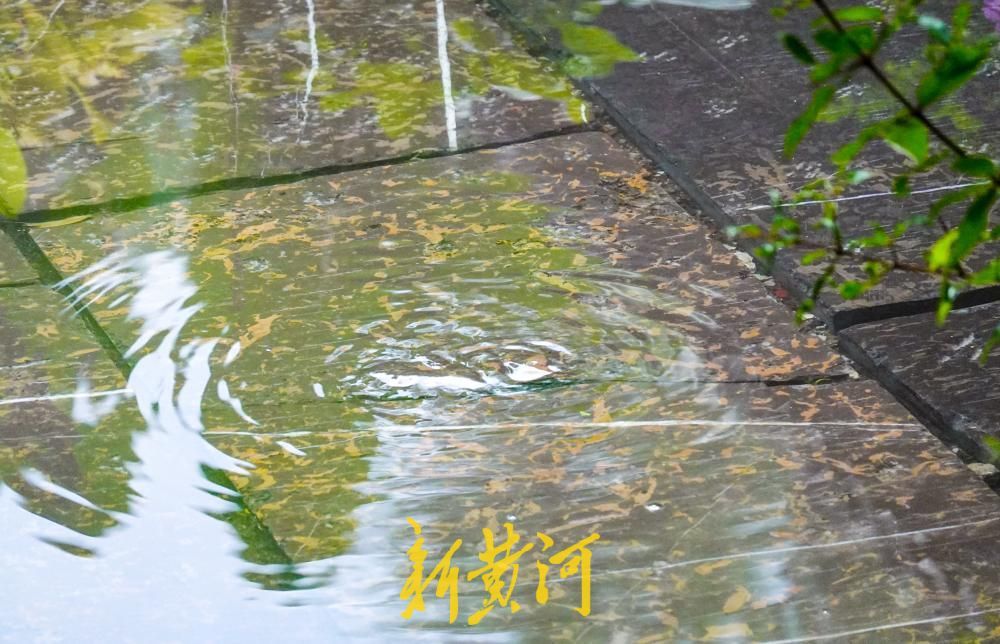 泉涌无忧！趵突泉公园再现“清泉石上流”诗意画卷