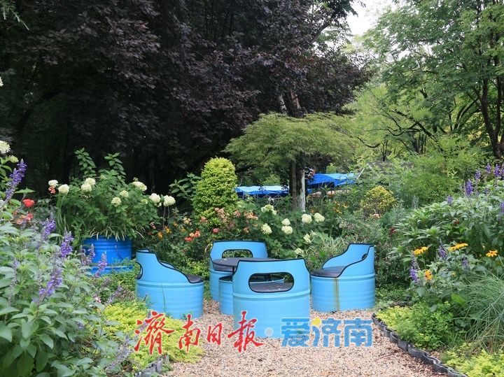 济南植物园61处高颜值花境邀您来打卡