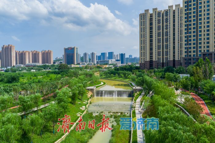 夏雨丰盈，济南大辛河绿意焕新