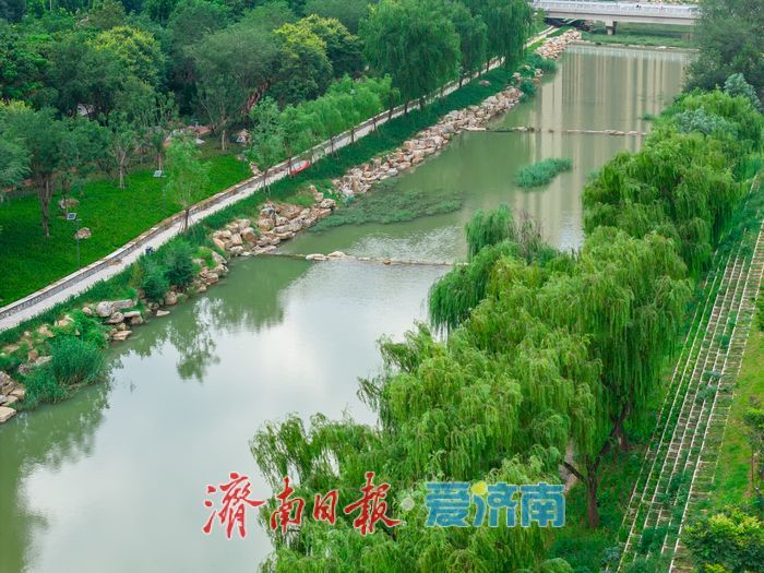 夏雨丰盈，济南大辛河绿意焕新