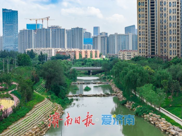 夏雨丰盈，济南大辛河绿意焕新