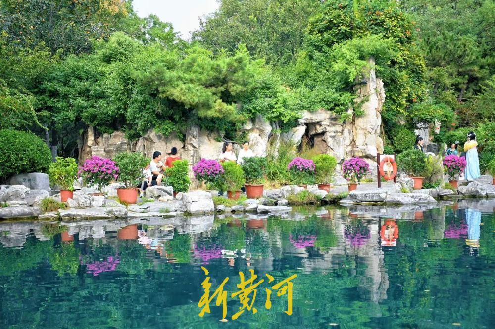 济南五龙潭新添美景，三角梅盛放绘就秋日画卷